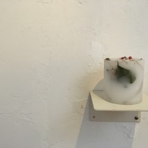 IMG_5274